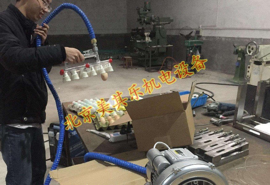 漩渦氣泵應用于雞蛋真空吸附器（視頻）