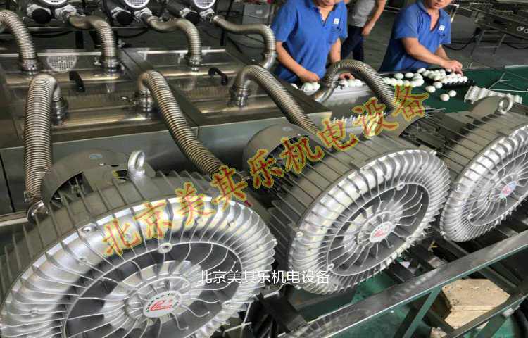 高壓鼓風(fēng)泵